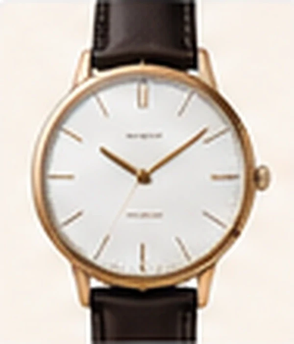 Generic unbranded elegant watch style example
